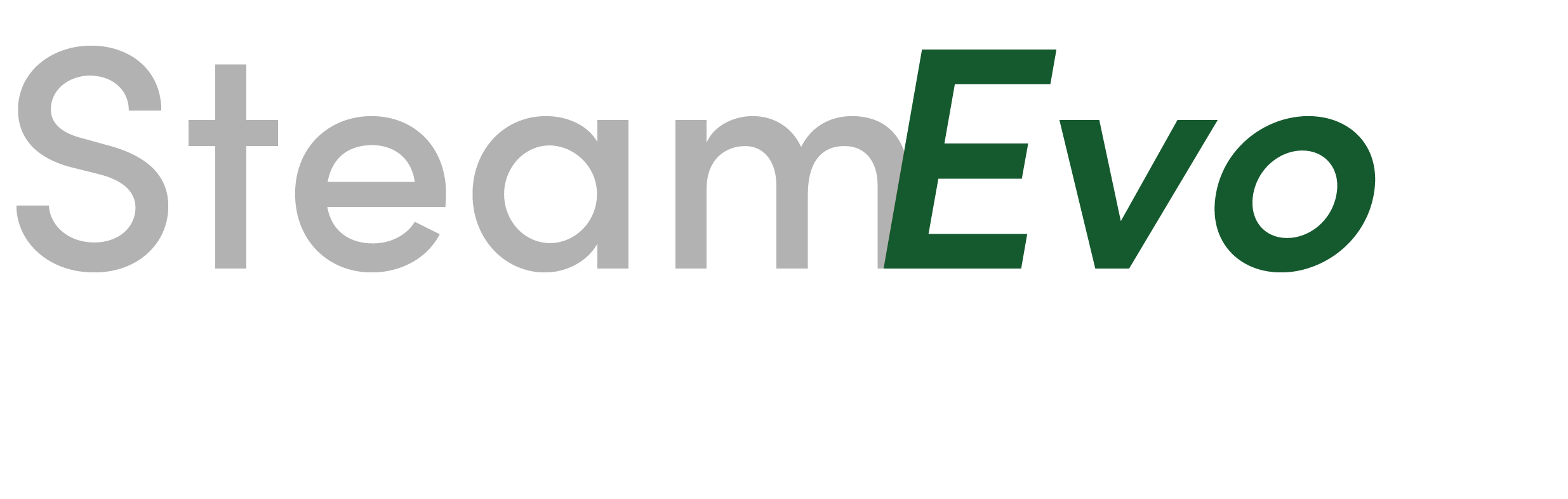 SteamEvo Logo